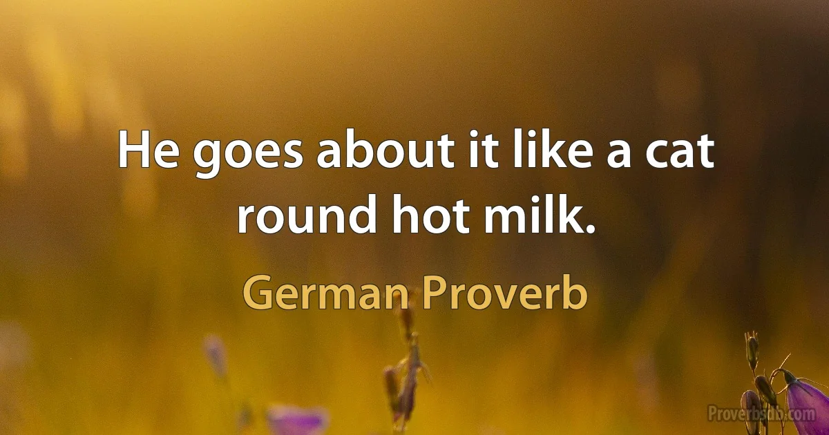 He goes about it like a cat round hot milk. (German Proverb)