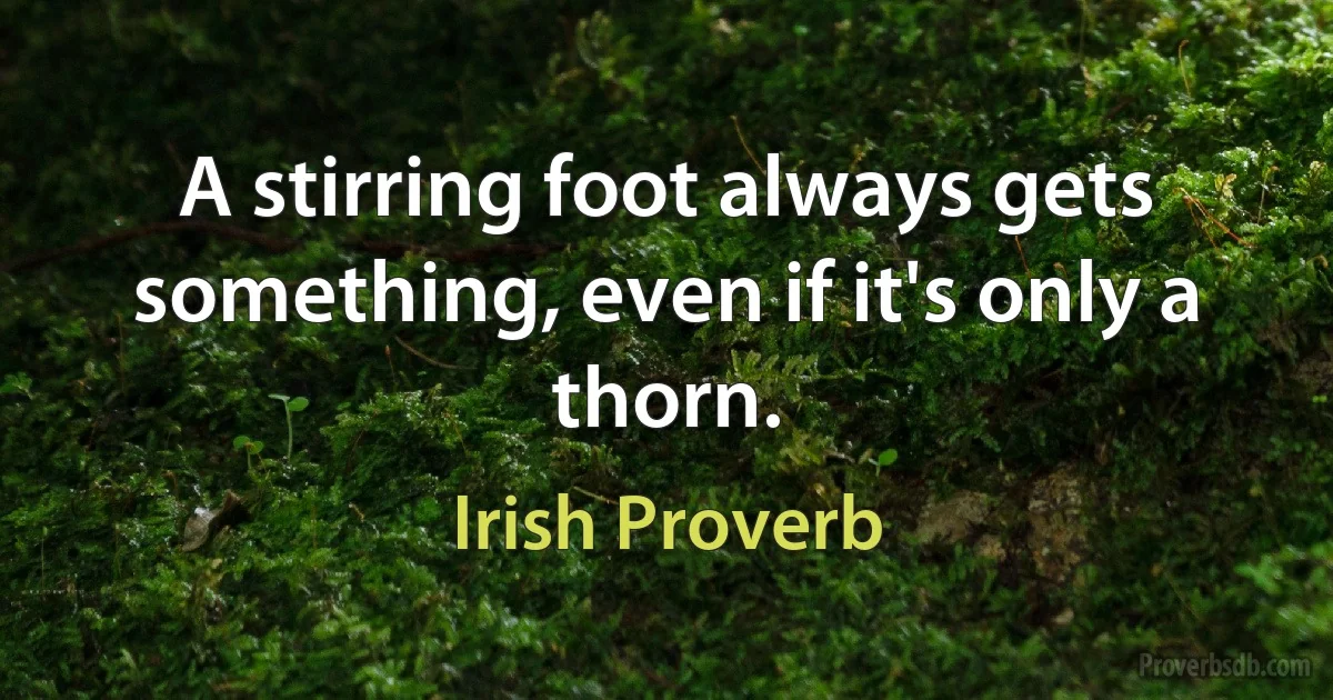 A stirring foot always gets something, even if it's only a thorn. (Irish Proverb)