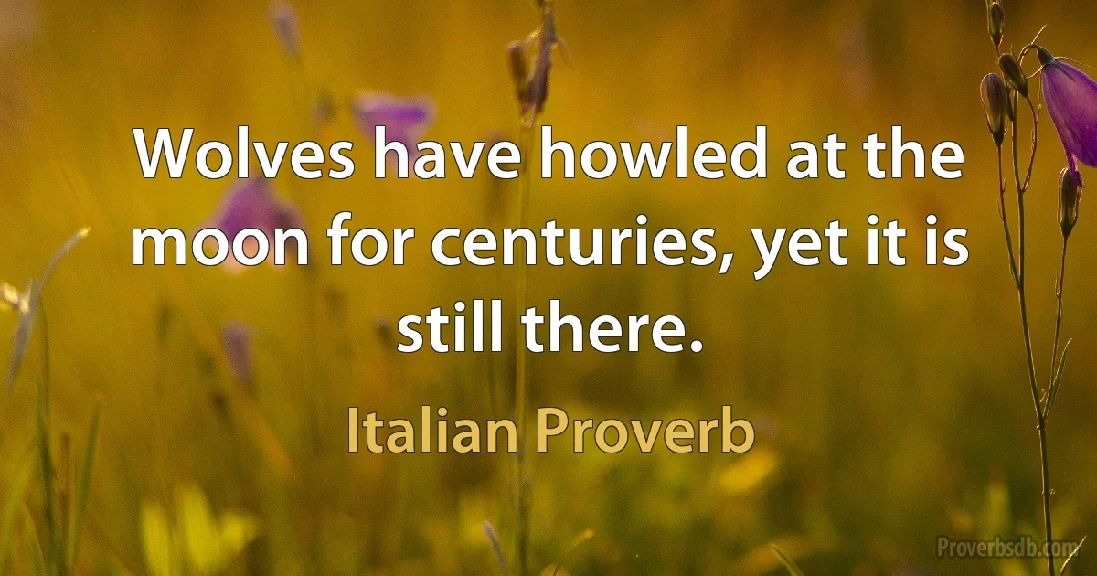 Wolves have howled at the moon for centuries, yet it is still there. (Italian Proverb)