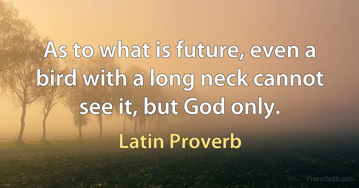 As to what is future, even a bird with a long neck cannot see it, but God only. (Latin Proverb)