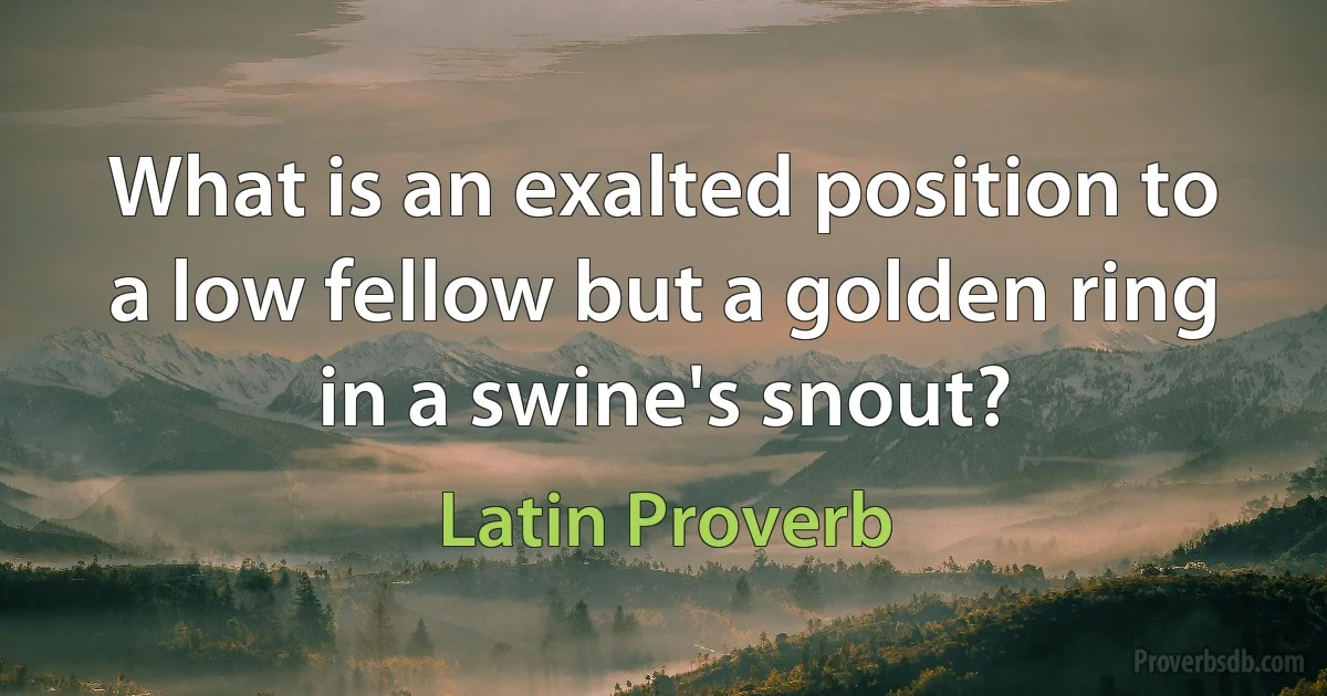 What is an exalted position to a low fellow but a golden ring in a swine's snout? (Latin Proverb)