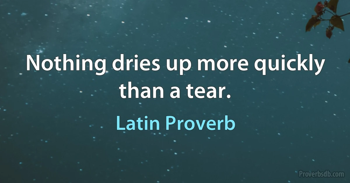 Nothing dries up more quickly than a tear. (Latin Proverb)