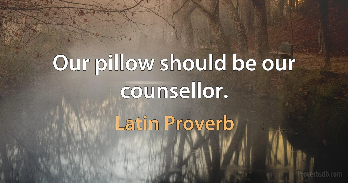 Our pillow should be our counsellor. (Latin Proverb)