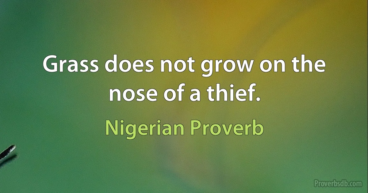 Grass does not grow on the nose of a thief. (Nigerian Proverb)