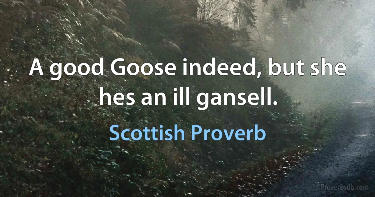 A good Goose indeed, but she hes an ill gansell. (Scottish Proverb)