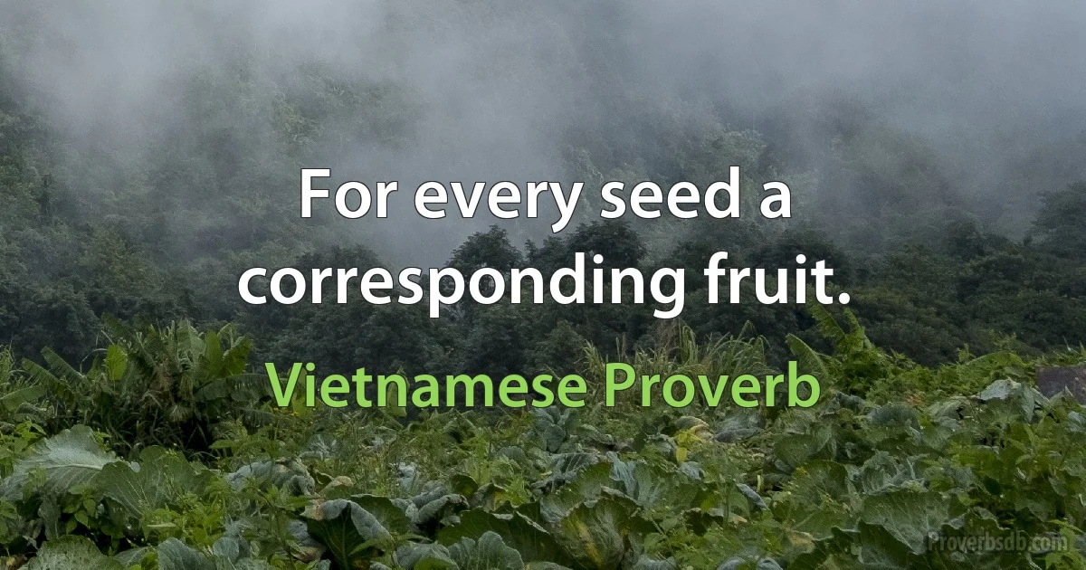 For every seed a corresponding fruit. (Vietnamese Proverb)