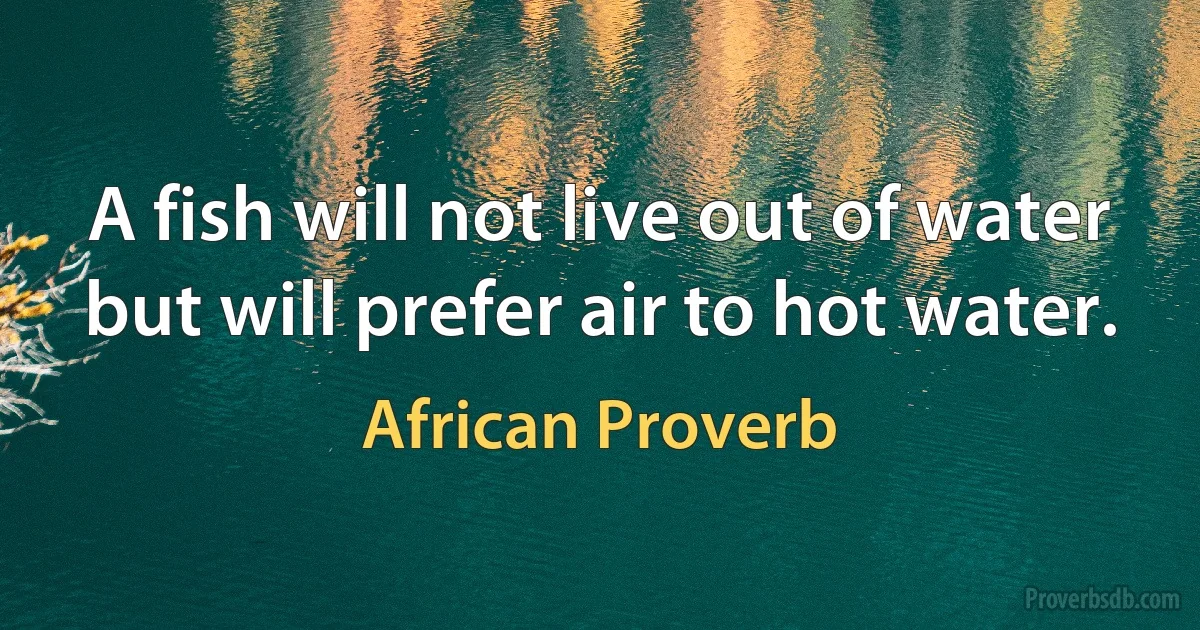 A fish will not live out of water but will prefer air to hot water. (African Proverb)