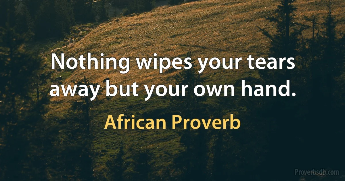 Nothing wipes your tears away but your own hand. (African Proverb)