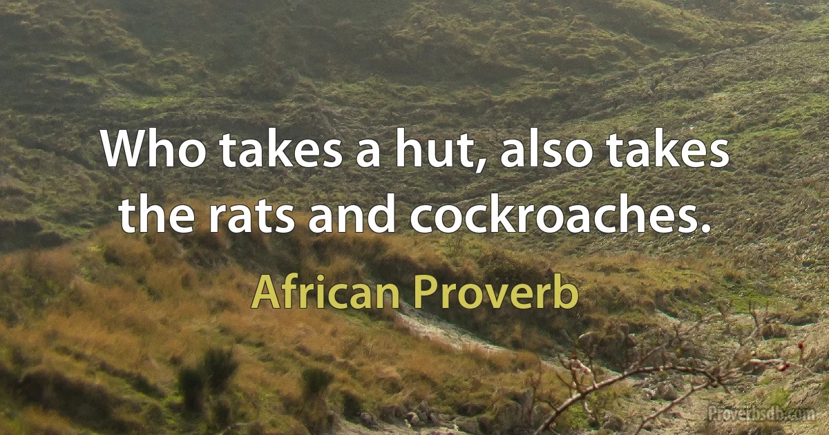 Who takes a hut, also takes the rats and cockroaches. (African Proverb)