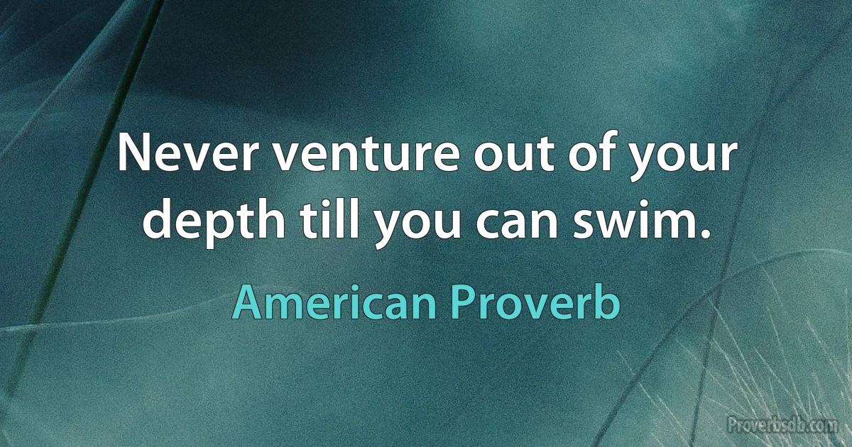 Never venture out of your depth till you can swim. (American Proverb)