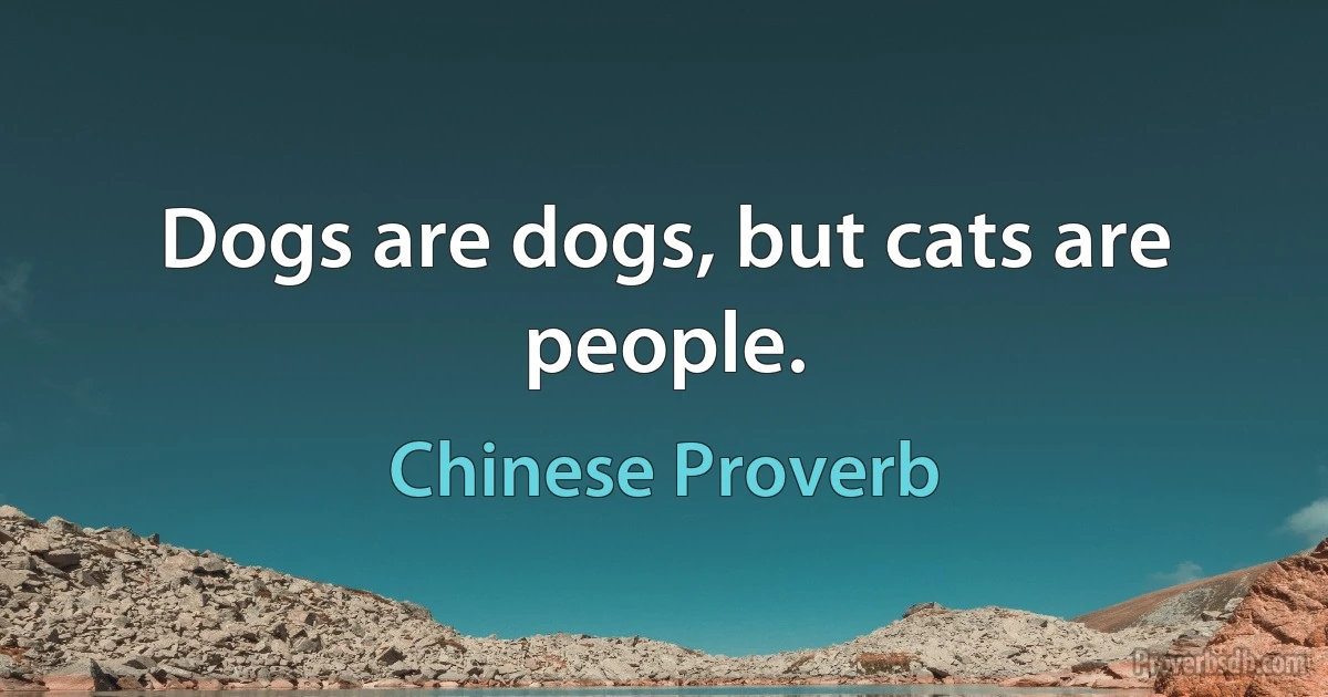 Dogs are dogs, but cats are people. (Chinese Proverb)