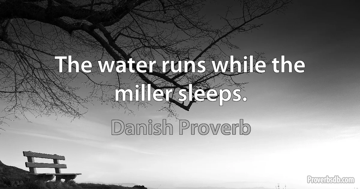 The water runs while the miller sleeps. (Danish Proverb)