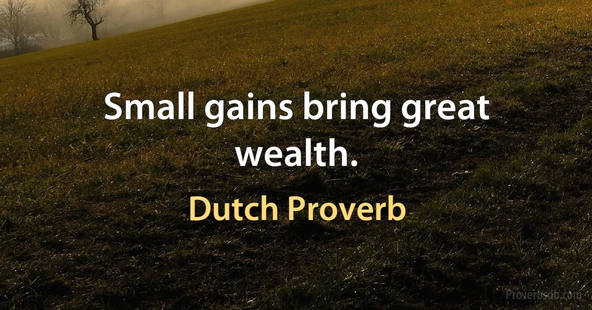 Small gains bring great wealth. (Dutch Proverb)