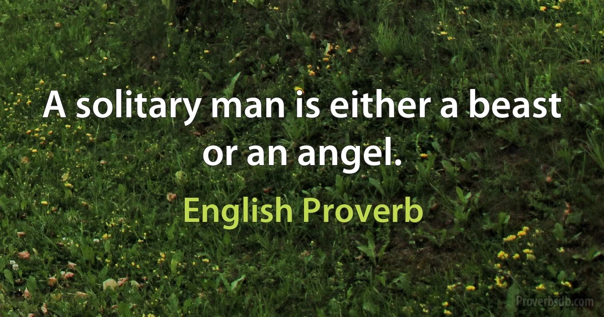 A solitary man is either a beast or an angel. (English Proverb)