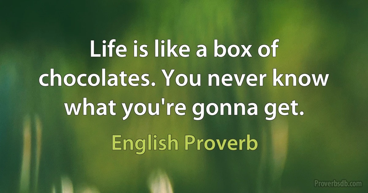 Life is like a box of chocolates. You never know what you're gonna get. (English Proverb)