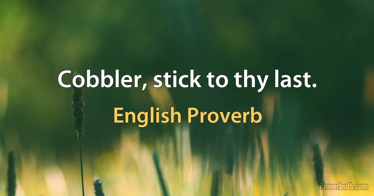 Cobbler, stick to thy last. (English Proverb)