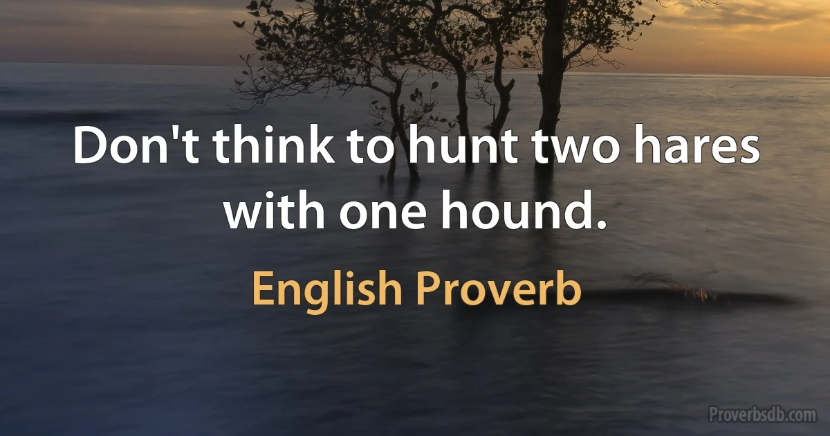 Don't think to hunt two hares with one hound. (English Proverb)