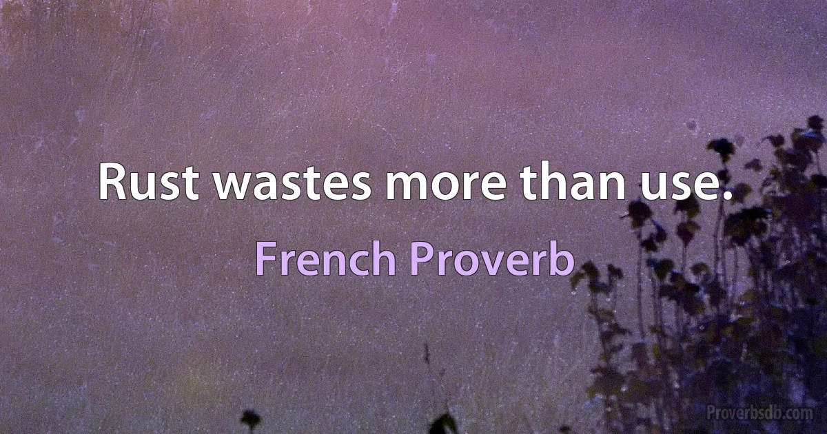 Rust wastes more than use. (French Proverb)