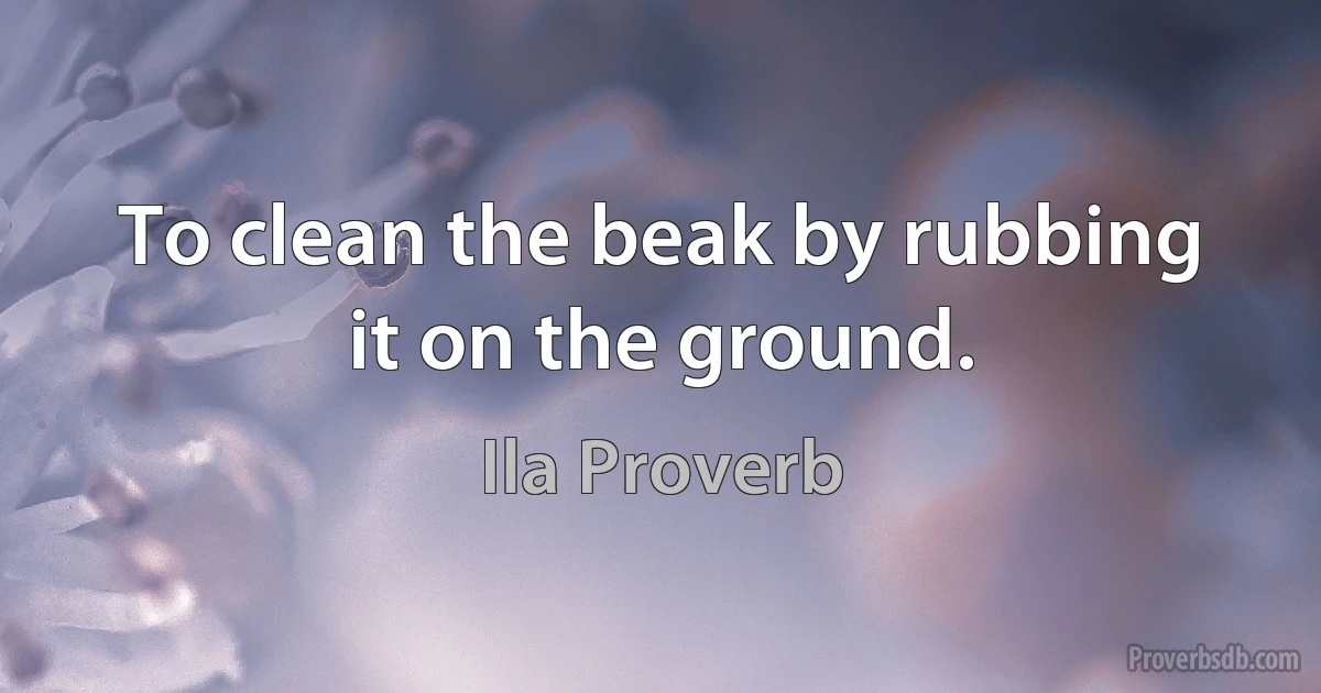 To clean the beak by rubbing it on the ground. (Ila Proverb)