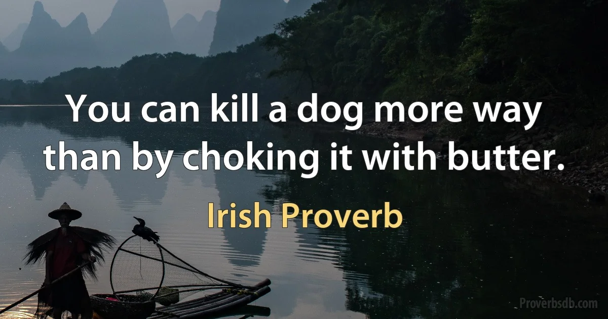 You can kill a dog more way than by choking it with butter. (Irish Proverb)