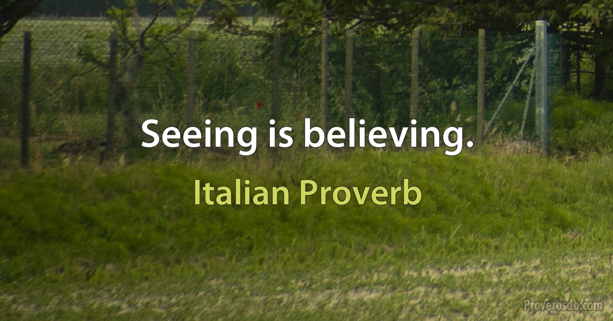 Seeing is believing. (Italian Proverb)