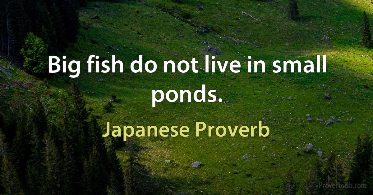 Big fish do not live in small ponds. (Japanese Proverb)