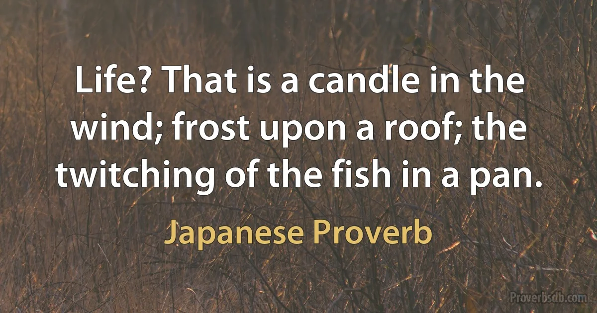 Life? That is a candle in the wind; frost upon a roof; the twitching of the fish in a pan. (Japanese Proverb)