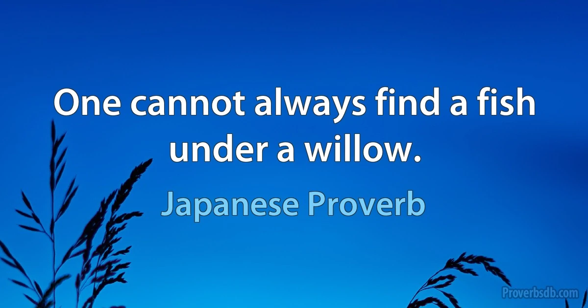 One cannot always find a fish under a willow. (Japanese Proverb)