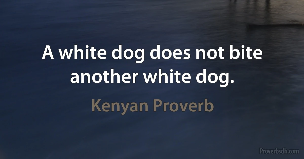 A white dog does not bite another white dog. (Kenyan Proverb)