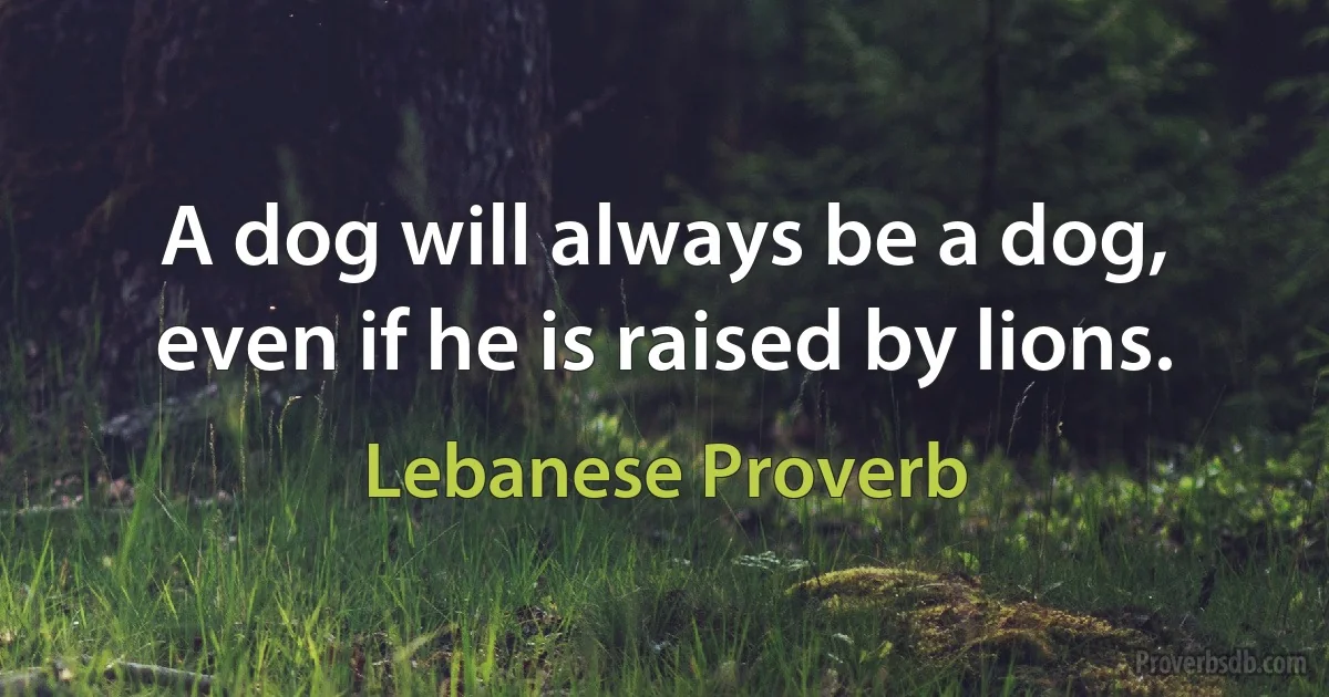 A dog will always be a dog, even if he is raised by lions. (Lebanese Proverb)