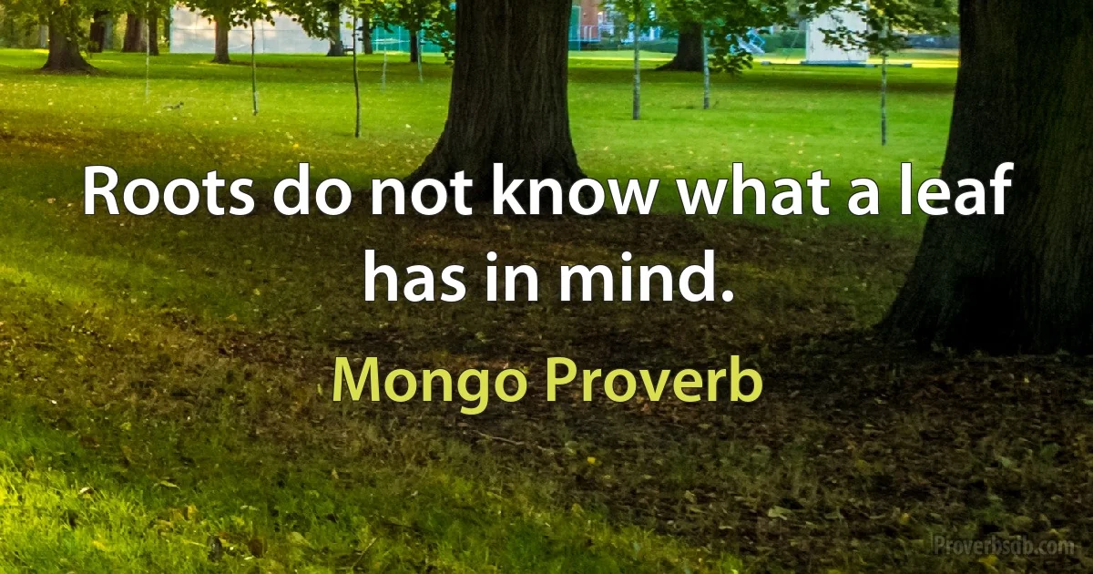 Roots do not know what a leaf has in mind. (Mongo Proverb)