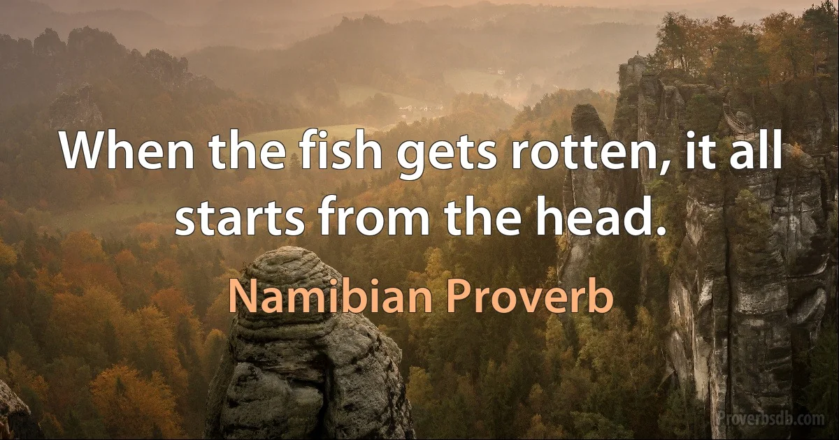 When the fish gets rotten, it all starts from the head. (Namibian Proverb)