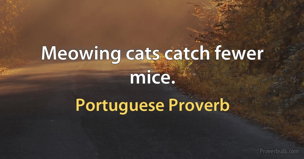 Meowing cats catch fewer mice. (Portuguese Proverb)