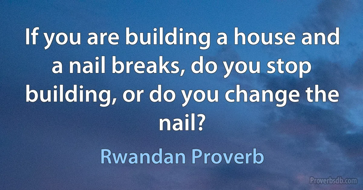 If you are building a house and a nail breaks, do you stop building, or do you change the nail? (Rwandan Proverb)