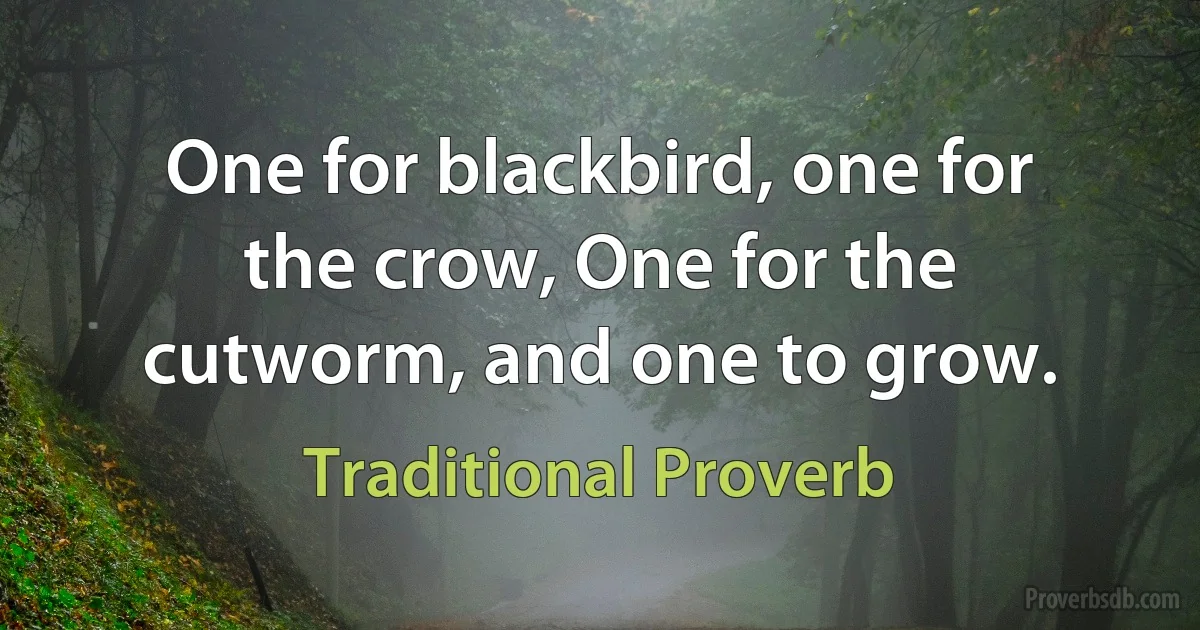 One for blackbird, one for the crow, One for the cutworm, and one to grow. (Traditional Proverb)