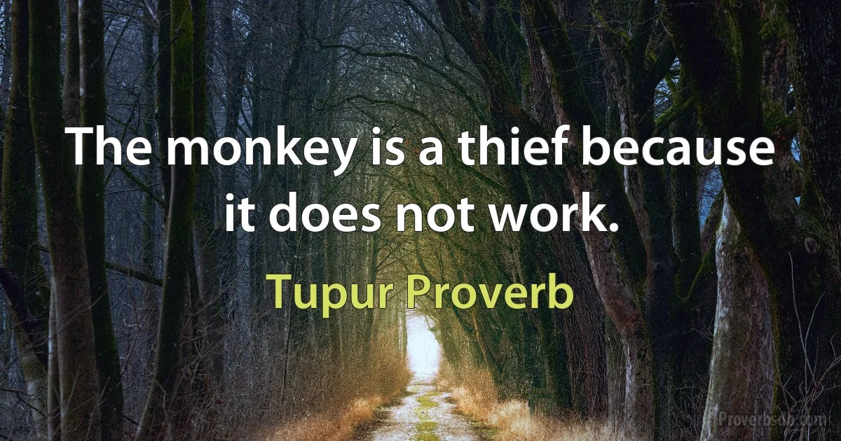 The monkey is a thief because it does not work. (Tupur Proverb)