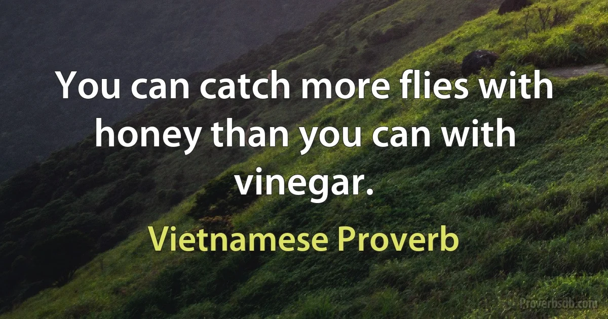 You can catch more flies with honey than you can with vinegar. (Vietnamese Proverb)