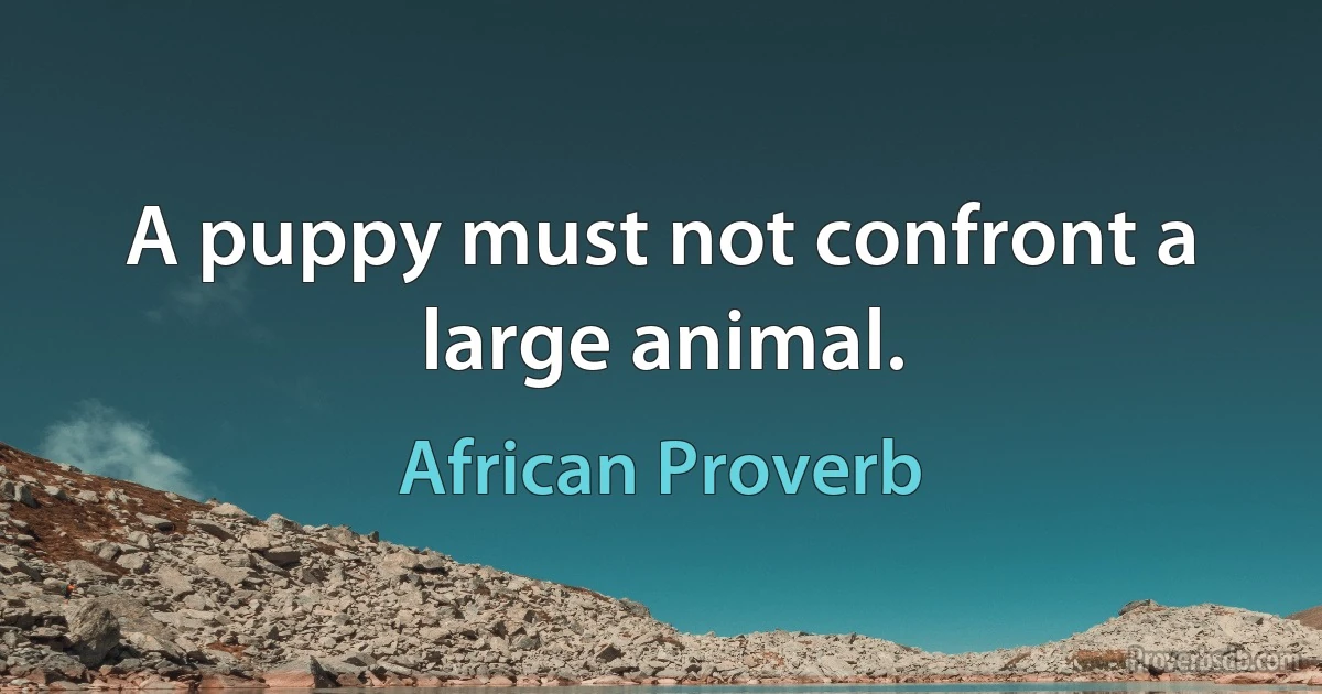 A puppy must not confront a large animal. (African Proverb)