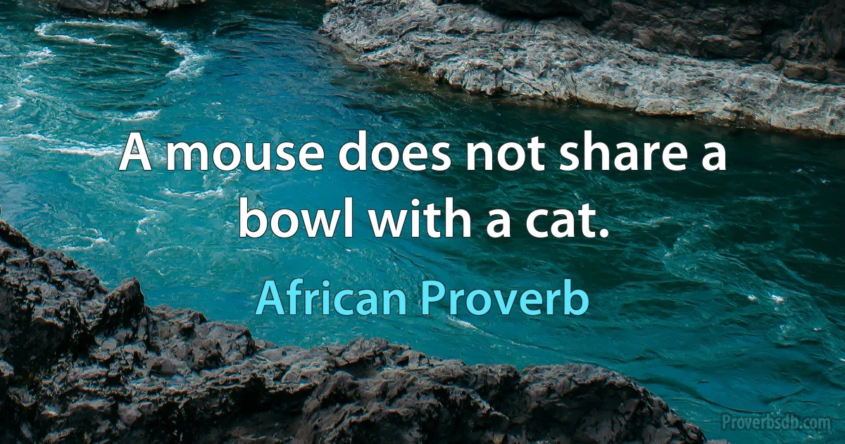 A mouse does not share a bowl with a cat. (African Proverb)