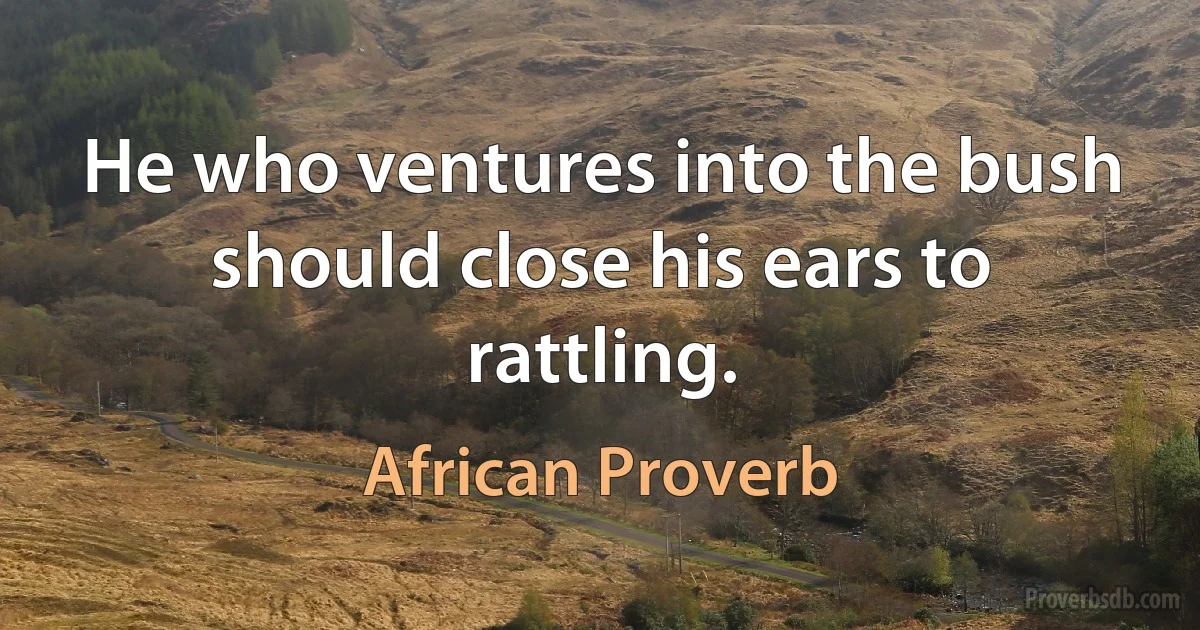 He who ventures into the bush should close his ears to rattling. (African Proverb)