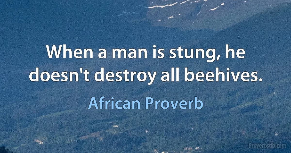 When a man is stung, he doesn't destroy all beehives. (African Proverb)