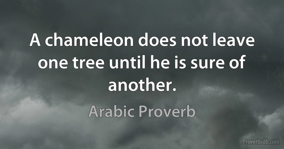 A chameleon does not leave one tree until he is sure of another. (Arabic Proverb)