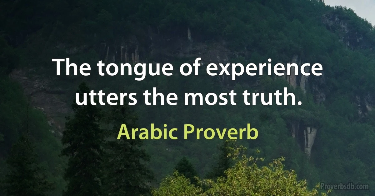 The tongue of experience utters the most truth. (Arabic Proverb)