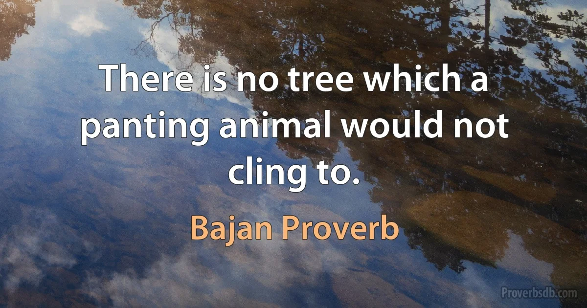 There is no tree which a panting animal would not cling to. (Bajan Proverb)