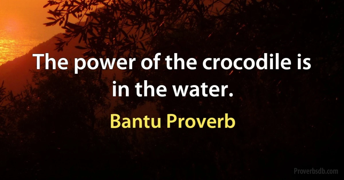 The power of the crocodile is in the water. (Bantu Proverb)