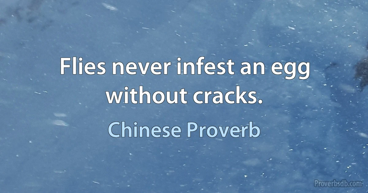 Flies never infest an egg without cracks. (Chinese Proverb)