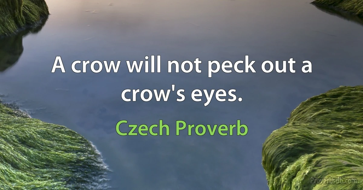 A crow will not peck out a crow's eyes. (Czech Proverb)