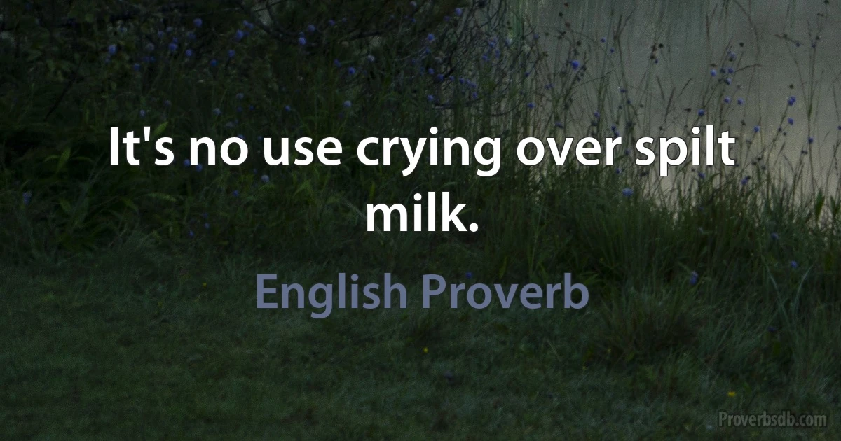 It's no use crying over spilt milk. (English Proverb)