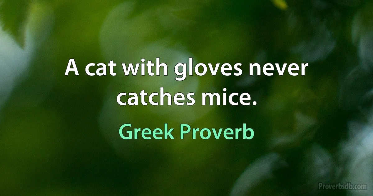 A cat with gloves never catches mice. (Greek Proverb)