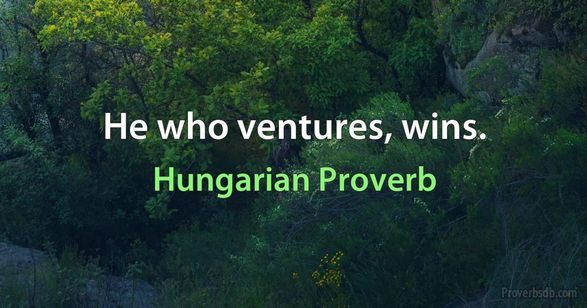 He who ventures, wins. (Hungarian Proverb)